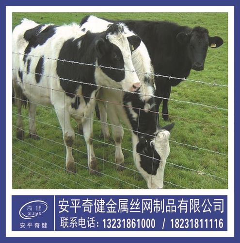 加工定做牛欄網草原圍網，為養殖圈養牲畜提供可靠防護