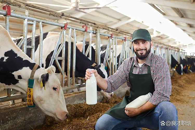 從豬圈到職場C位 家畜飼養(yǎng)員的逆襲之路
